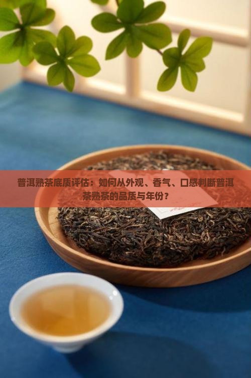 普洱熟茶底质评估：如何从外观、香气、口感判断普洱茶熟茶的品质与年份？