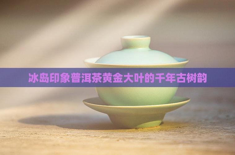 冰岛印象普洱茶黄金大叶的千年古树韵