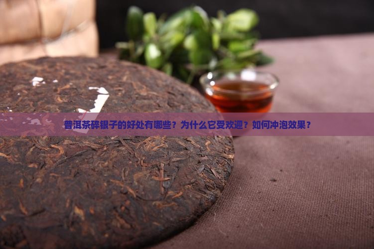 普洱茶碎银子的好处有哪些？为什么它受欢迎？如何冲泡效果？