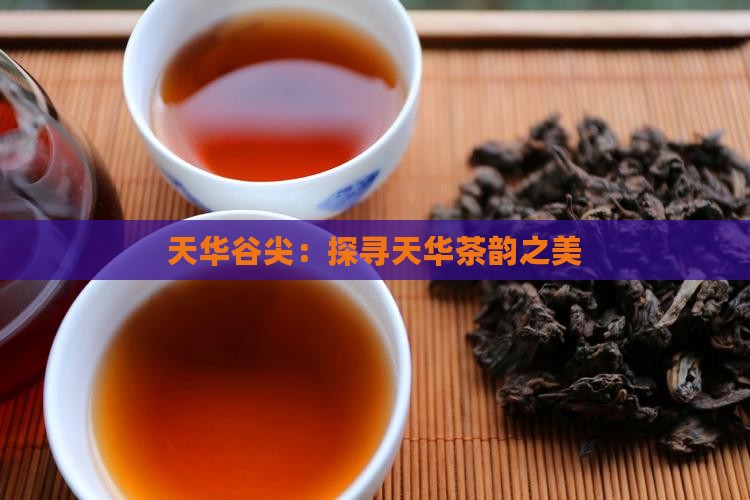 天华谷尖：探寻天华茶韵之美