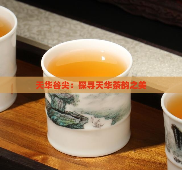 天华谷尖：探寻天华茶韵之美