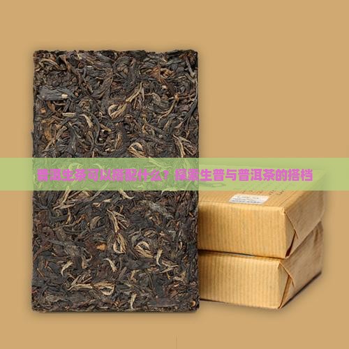 普洱生茶可以搭配什么？探索生普与普洱茶的搭档