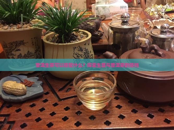 普洱生茶可以搭配什么？探索生普与普洱茶的搭档