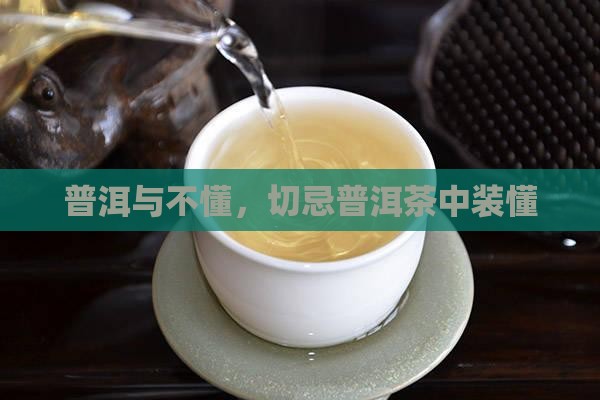 普洱与不懂，切忌普洱茶中装懂