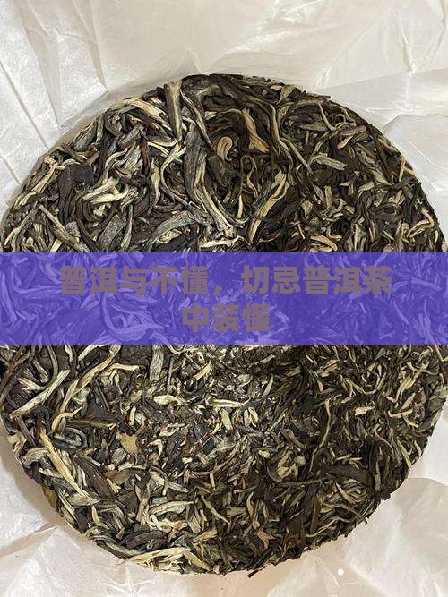 普洱与不懂，切忌普洱茶中装懂