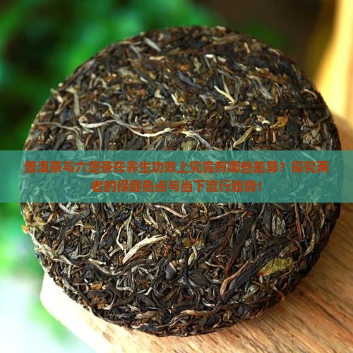 普洱茶与六堡茶在养生功效上究竟有哪些差异？探究两者的保健热点与当下流行趋势！