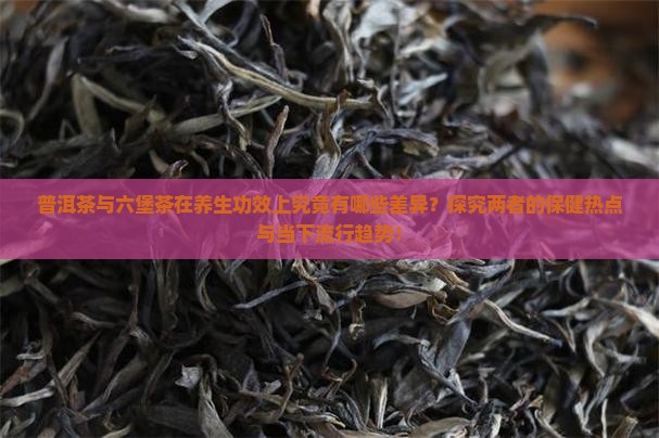 普洱茶与六堡茶在养生功效上究竟有哪些差异？探究两者的保健热点与当下流行趋势！