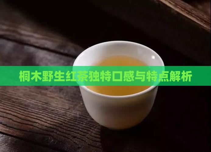 桐木野生红茶独特口感与特点解析