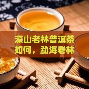 深山老林普洱茶如何，勐海老林茶厂价格解析