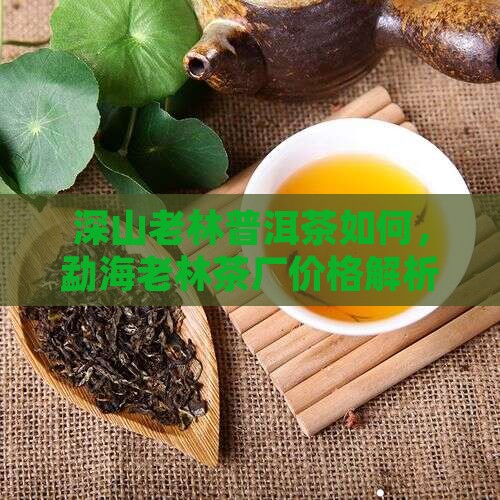 深山老林普洱茶如何，勐海老林茶厂价格解析
