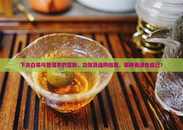 下关白茶与普洱茶的区别、功效及选购指南，哪种更适合自己？