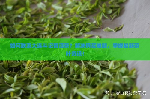 如何联系大连斗记普洱茶？解决购买难题，掌握最新茶叶资讯！