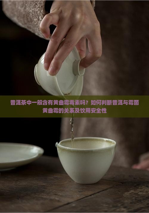普洱茶中一般含有黄曲霉毒素吗？如何判断普洱与霉菌黄曲霉的关系及饮用安全性