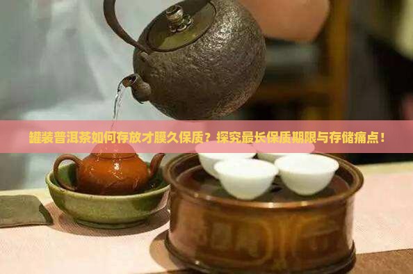 罐装普洱茶如何存放才膜久保质？探究最长保质期限与存储痛点！