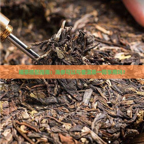 喝茶搭配指南：海参可以与普洱茶一同享用吗？