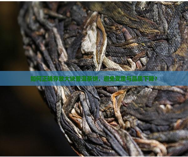 如何正确存放大块普洱茶饼，避免变质与品质下降？