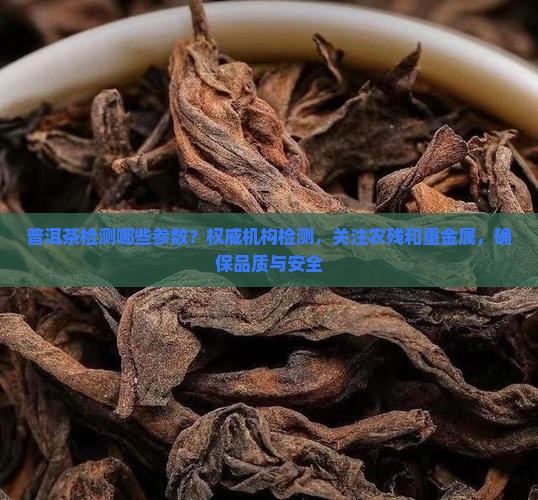 普洱茶检测哪些参数？权威机构检测，关注农残和重金属，确保品质与安全