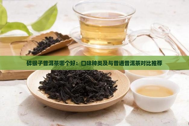 碎银子普洱茶哪个好：口味种类及与普通普洱茶对比推荐