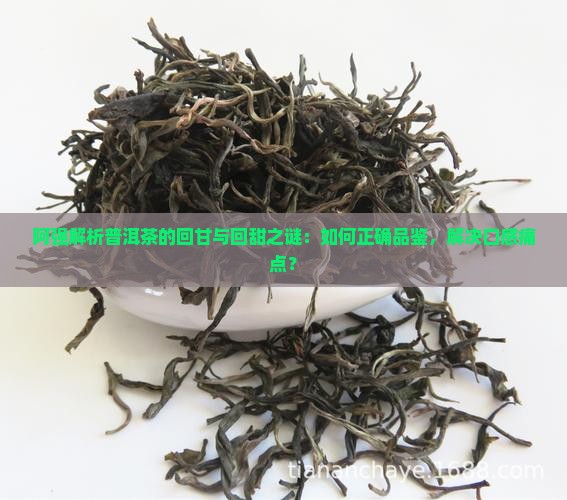 阿强解析普洱茶的回甘与回甜之谜：如何正确品鉴，解决口感痛点？