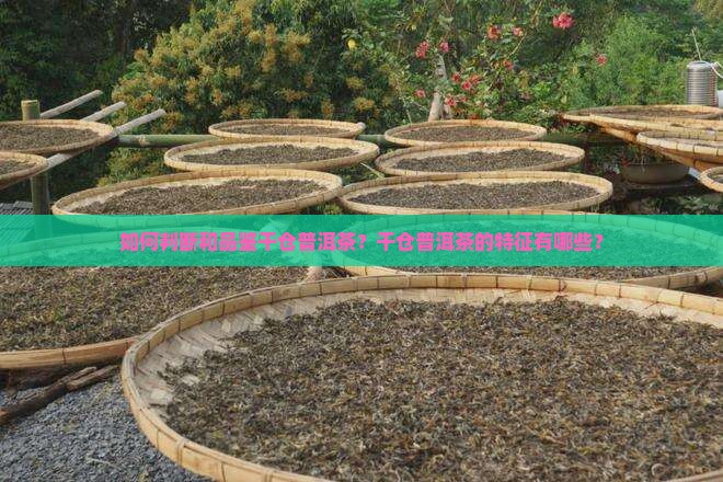 如何判断和品鉴干仓普洱茶？干仓普洱茶的特征有哪些？
