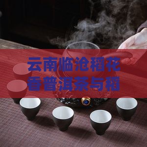 云南临沧稻花香普洱茶与稻花共舞的普洱茶韵