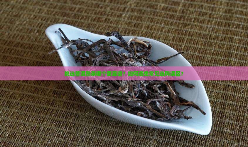 挑选普洱熟茶哪个更靠谱？如何避免常见选购误区？