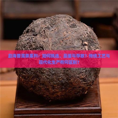 勐海普洱茶系列：如何挑选、品鉴与存放？传统工艺与现代化生产有何区别？