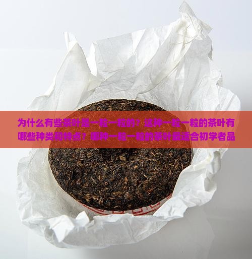 为什么有些茶叶是一粒一粒的？这种一粒一粒的茶叶有哪些种类和特点？哪种一粒一粒的茶叶最适合初学者品尝？