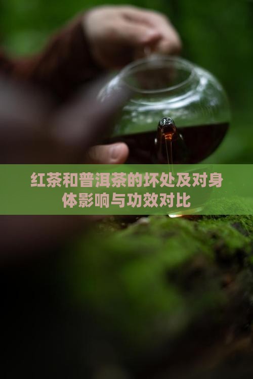 红茶和普洱茶的坏处及对身体影响与功效对比