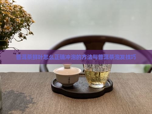 普洱茶鲜叶怎么正确冲泡的方法与普洱茶泡发技巧