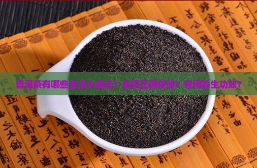 普洱茶有哪些生活小知识？如何正确存储？有何养生功效？