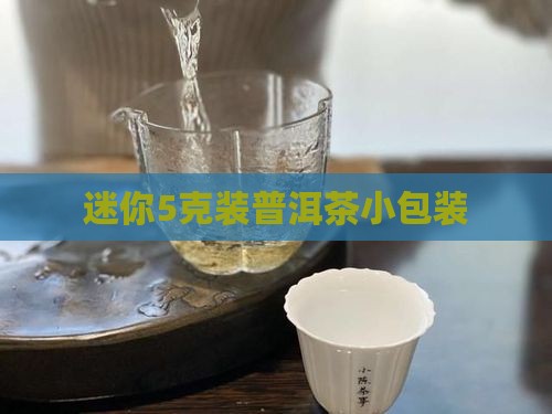 迷你5克装普洱茶小包装