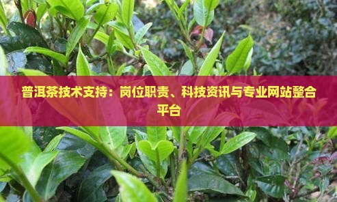 普洱茶技术支持：岗位职责、科技资讯与专业网站整合平台