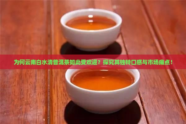 为何云南白水清普洱茶如此受欢迎？探究其独特口感与市场痛点！