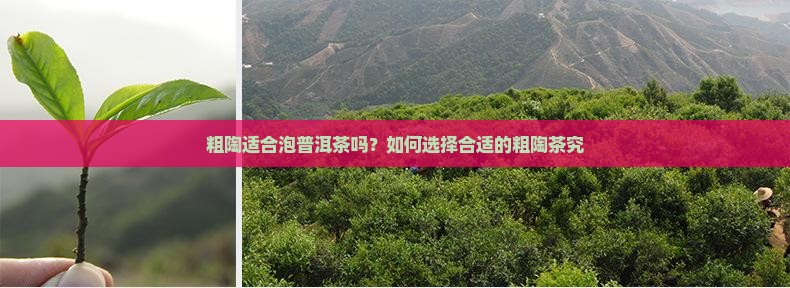 粗陶适合泡普洱茶吗？如何选择合适的粗陶茶究