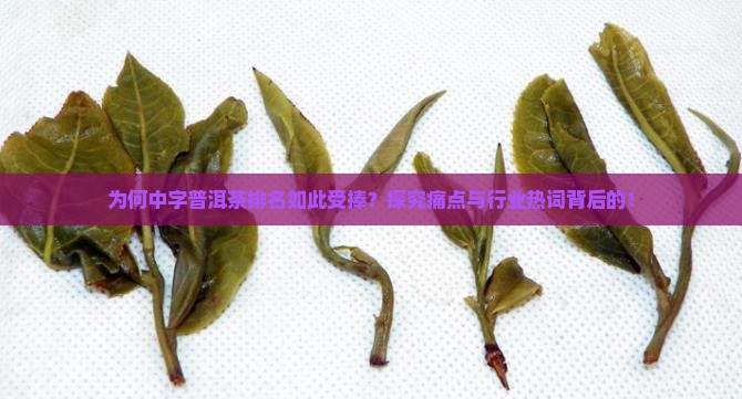 为何中字普洱茶排名如此受捧？探究痛点与行业热词背后的！