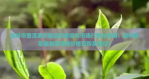 温岭市普洱茶价格实时查询与市场行情分析网：如何获取最新普洱茶价格及购买建议？
