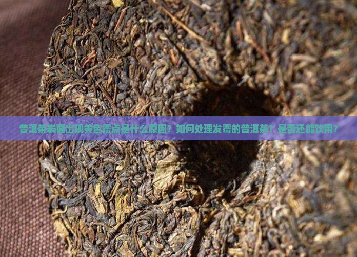 普洱茶表面出现黄色霉点是什么原因？如何处理发霉的普洱茶？是否还能饮用？
