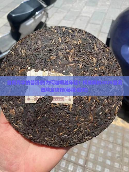 含有乔字的普洱茶