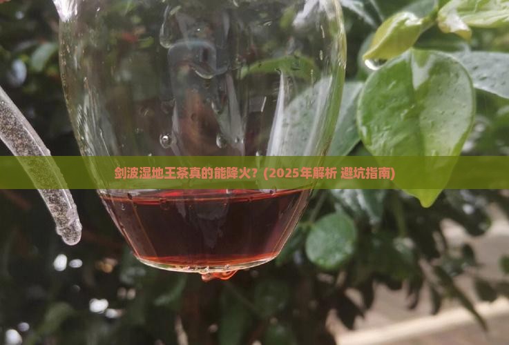 剑波湿王茶的功效
