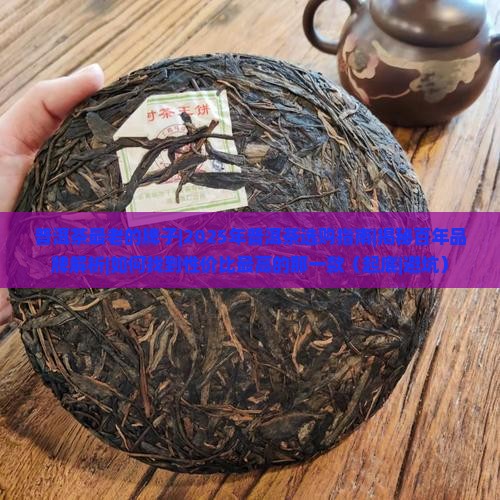 普洱茶最老的牌子
