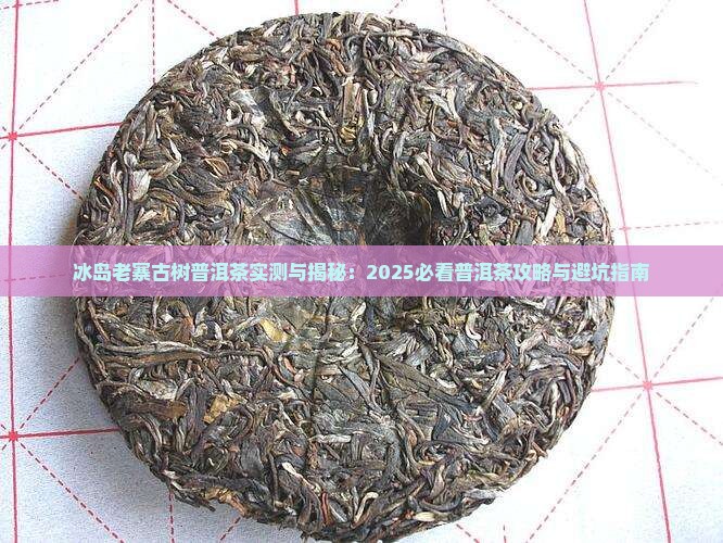 冰岛老寨十号普洱茶