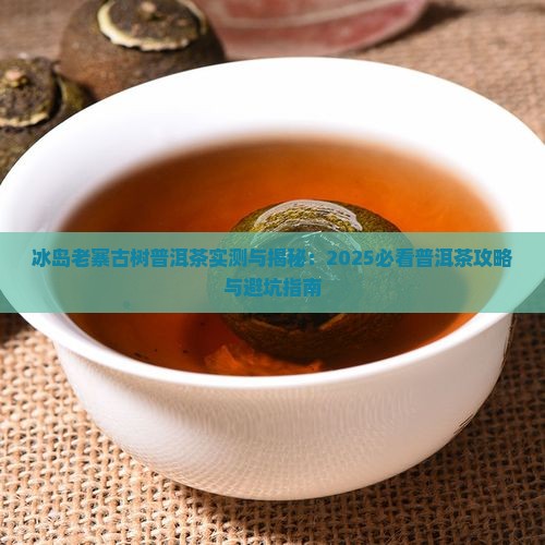 冰岛老寨十号普洱茶