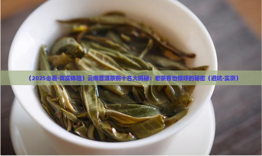 云南省普洱茶前十名
