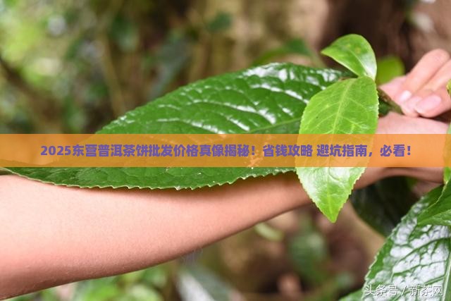东营普洱茶饼批发价格大全