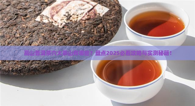 高山普洱茶六大茶山有哪些