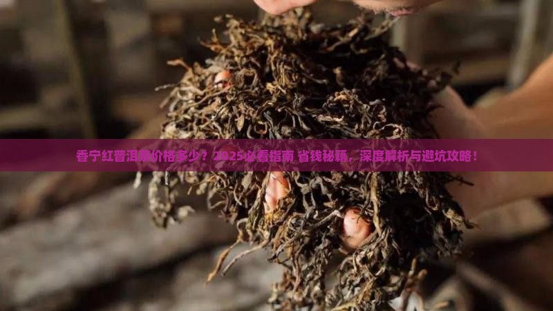 香宁红普洱茶价格多少