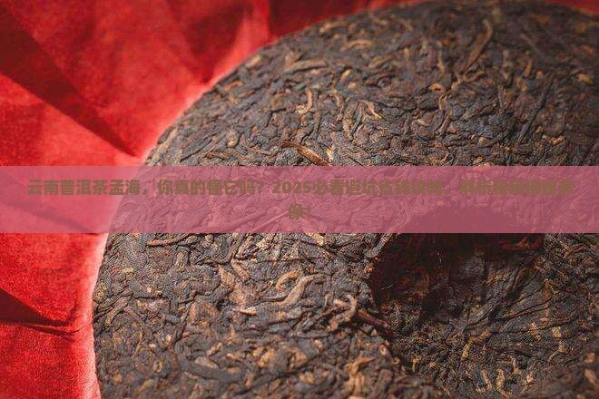 云南普洱茶孟海