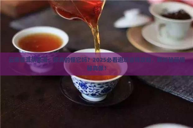云南普洱茶孟海