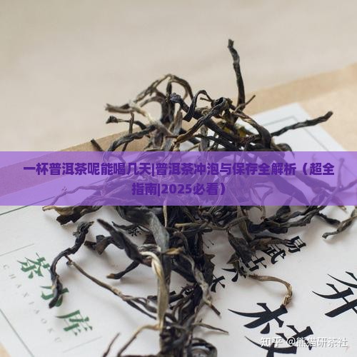 一杯普洱茶呢能喝几天 一杯普洱茶呢能喝几天